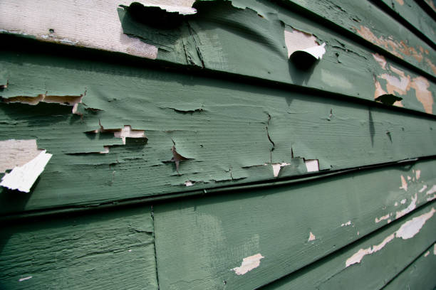 Best Hoarding Cleanup  in Oasis, CA
